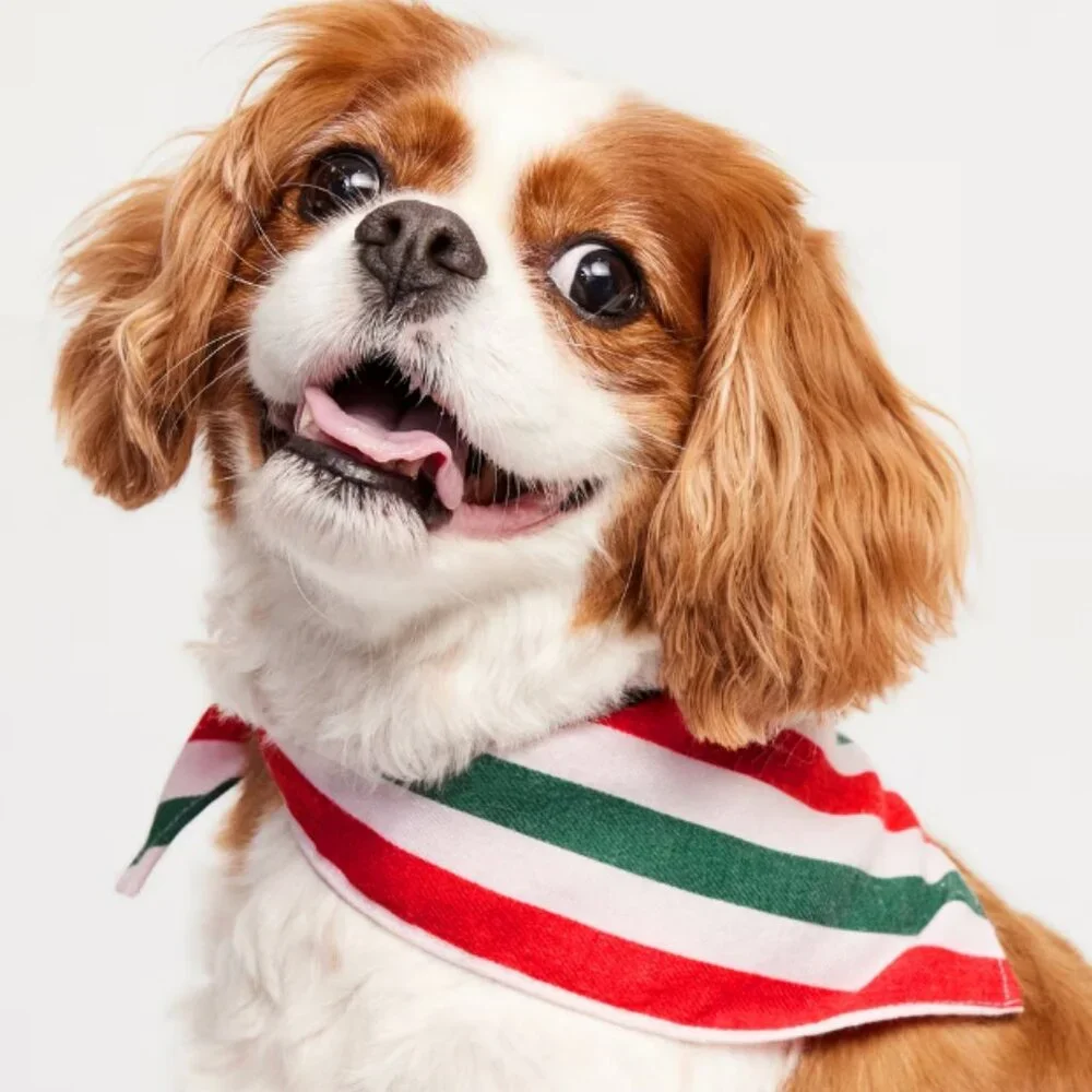 Old Navy Holiday Red/Green Stripe Patterned Flannel Bandana Pets (Cat/Dog) NWT